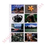 BUSTA A4 PORTA PHOTO CM 7 X 10. FORATURA UNIVERSALE FINITURA LISCIA. CONF 10 PZ